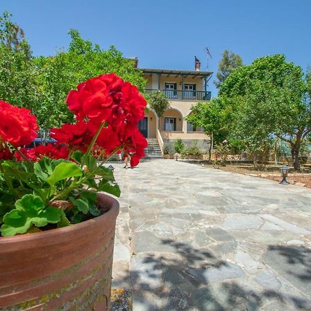 Casa Tsounis By "Elite" Διαμέρισμα Βολίμες Εξωτερικό φωτογραφία