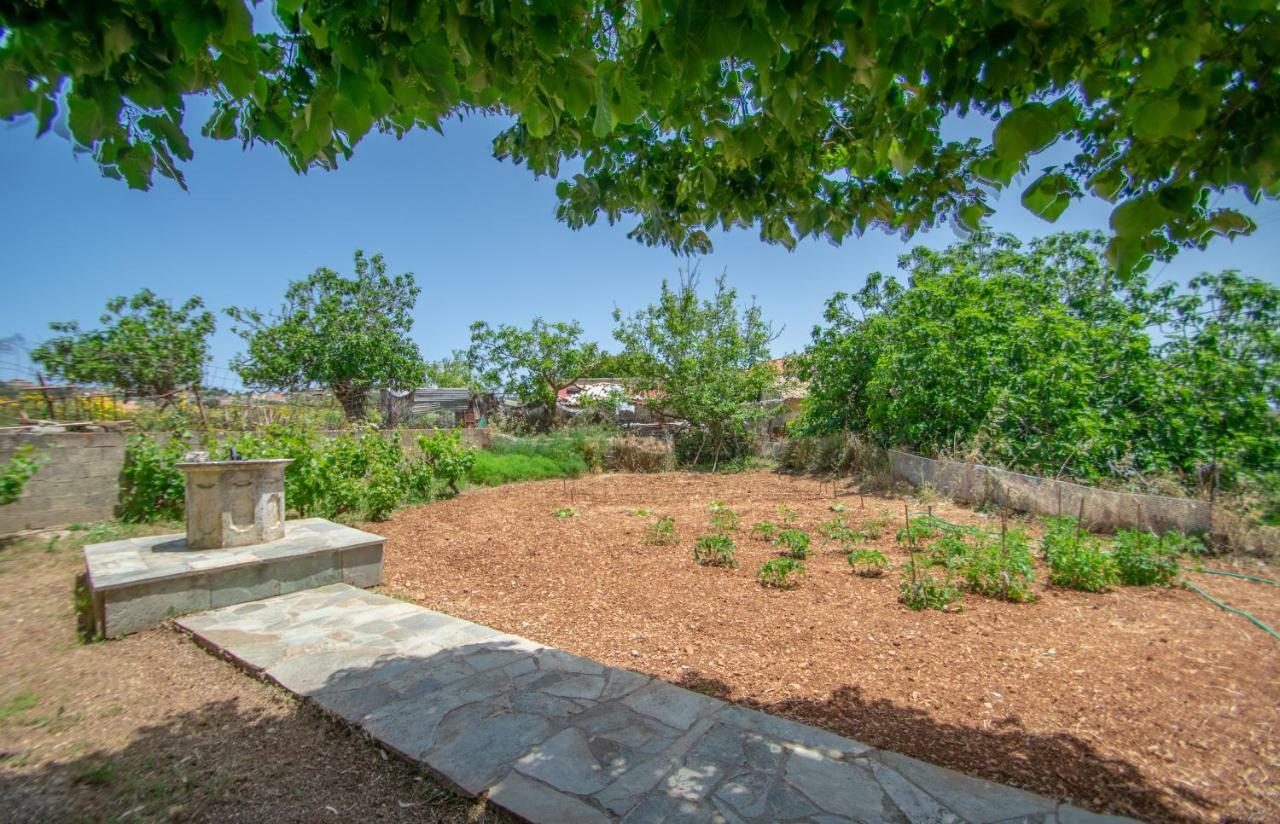 Casa Tsounis By "Elite" Διαμέρισμα Βολίμες Εξωτερικό φωτογραφία